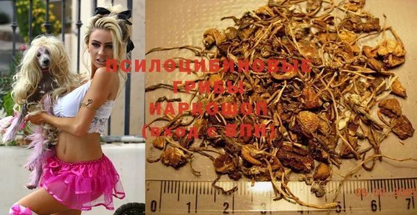 apvp Балахна