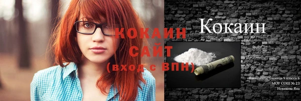 винт Арсеньев